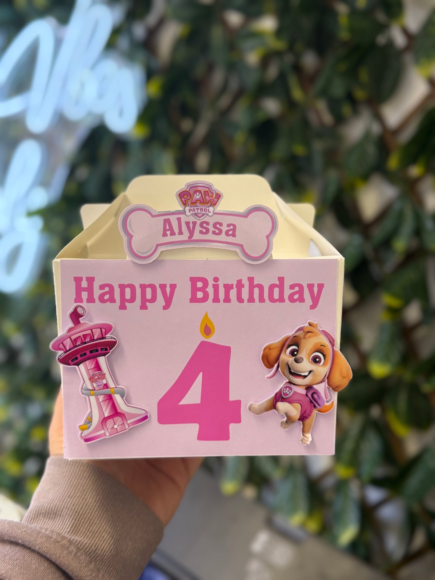 3D Birthday Treat Box