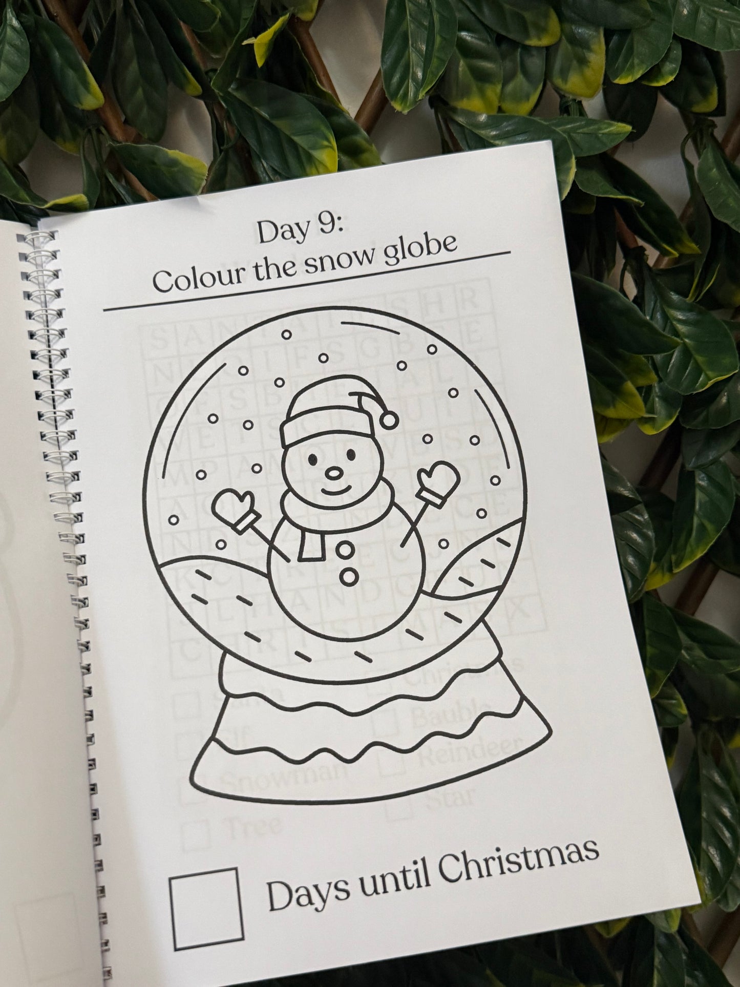 Pink or blue Christmas advent book