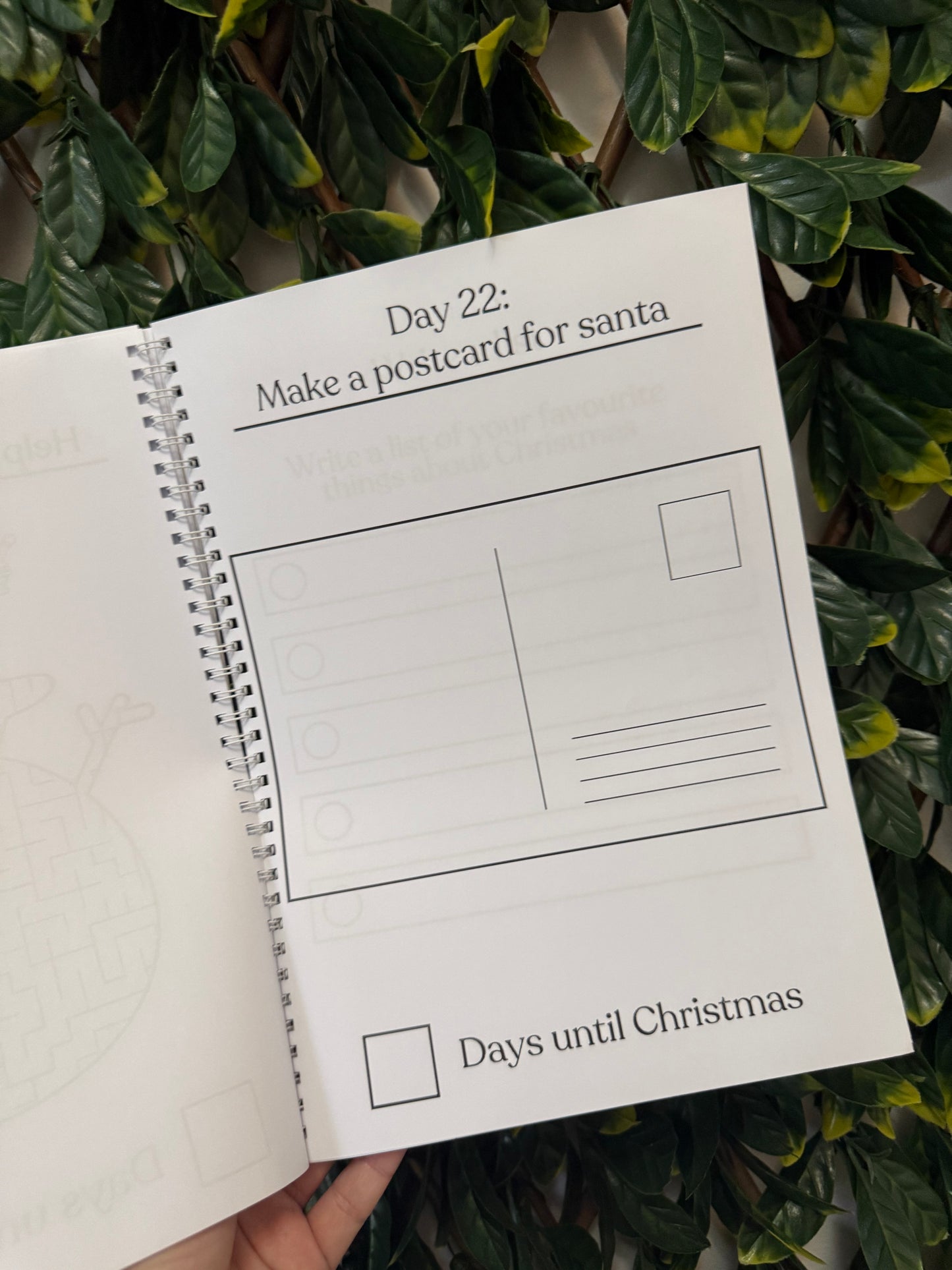 Pink or blue Christmas advent book