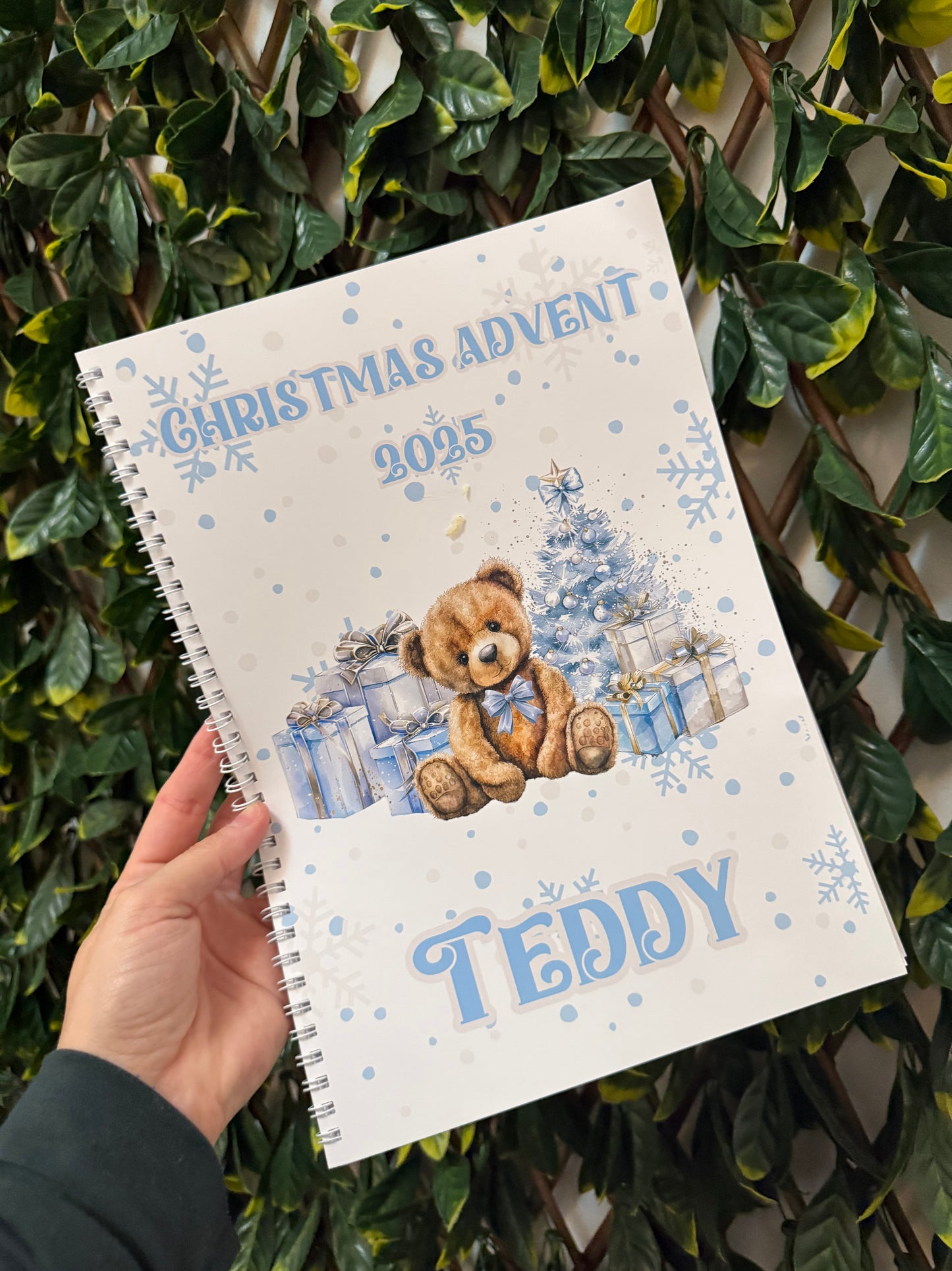 Pink or blue Christmas advent book