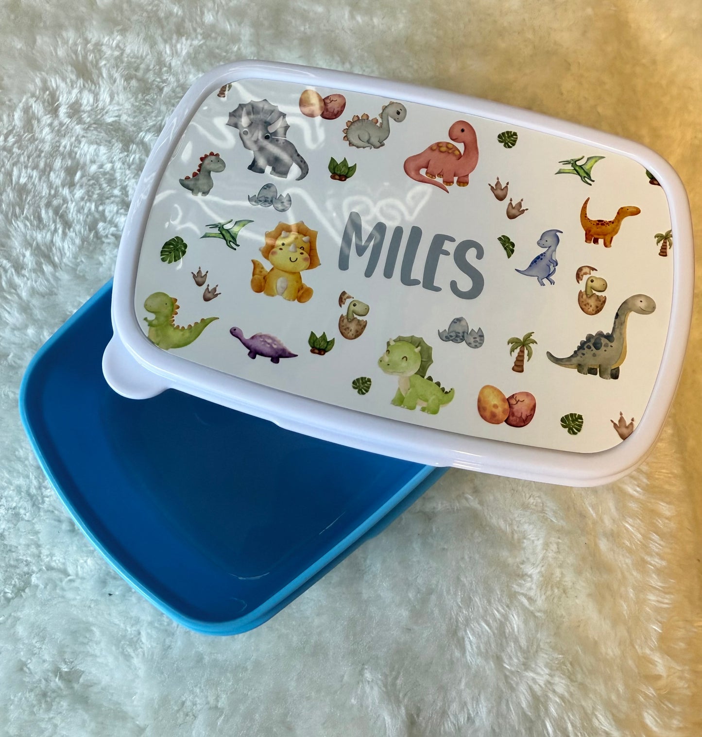 Lunch / snack boxes