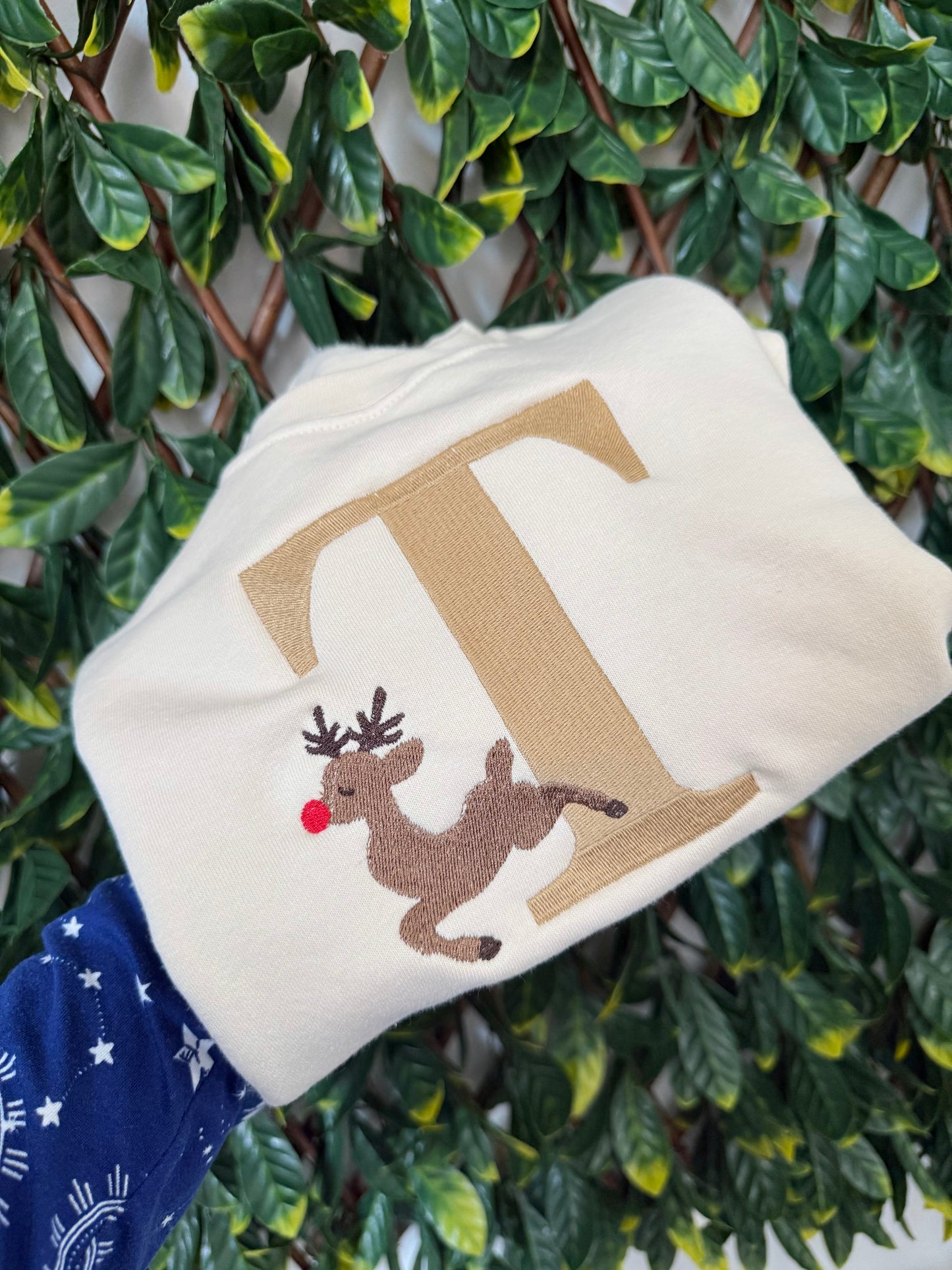 Embroidered Christmas Rudolph sweatshirt