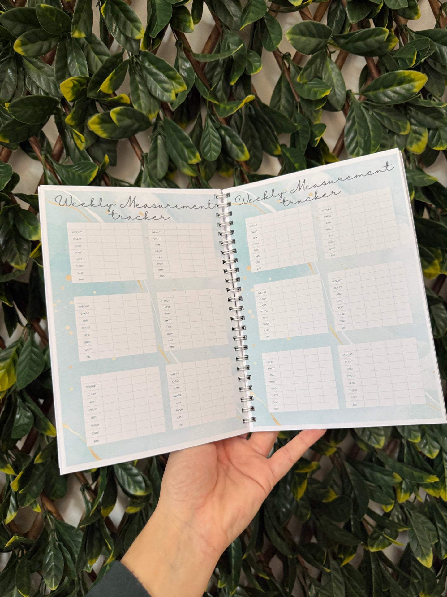 Pink sweary weight loss book