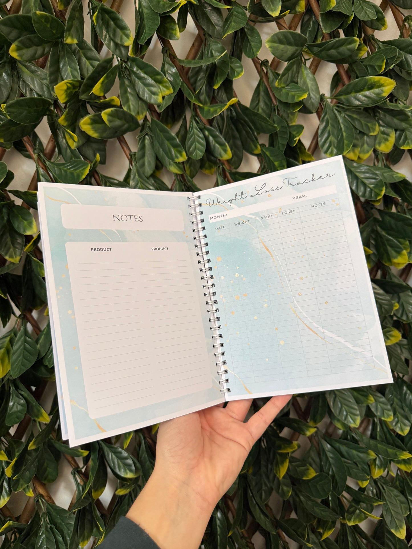 Pink sweary weight loss book