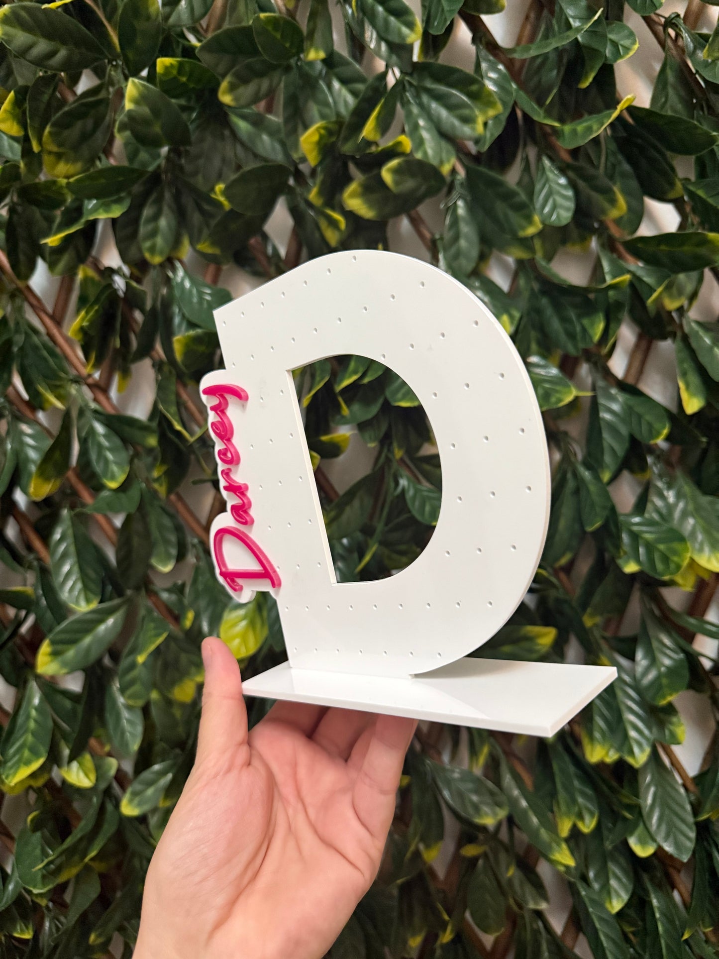 Acrylic earring holder