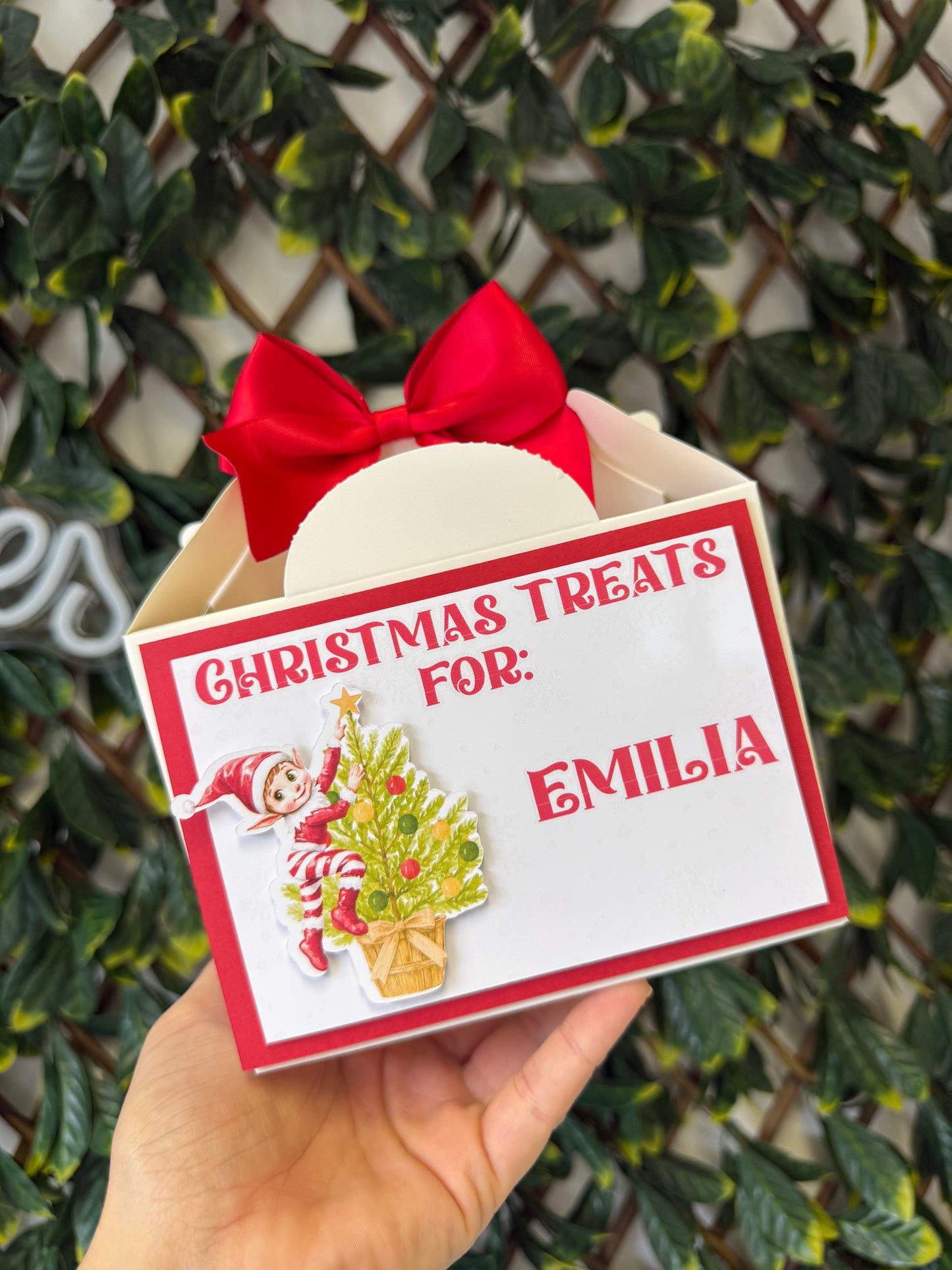 Christmas treat box - all designs