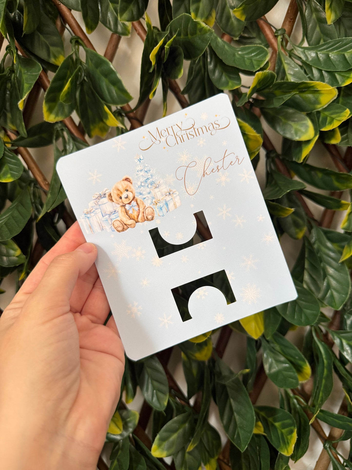 Scratch card/gift card holder