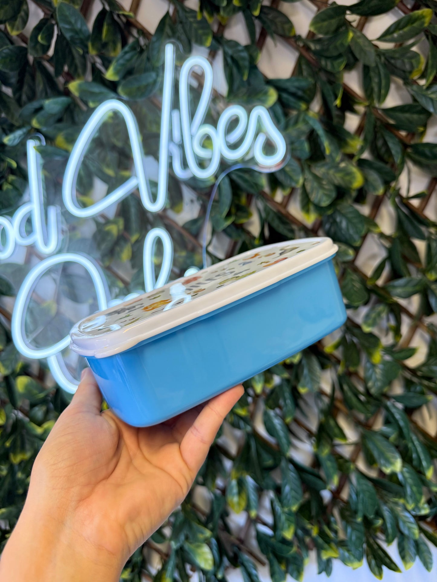 Lunch / snack boxes