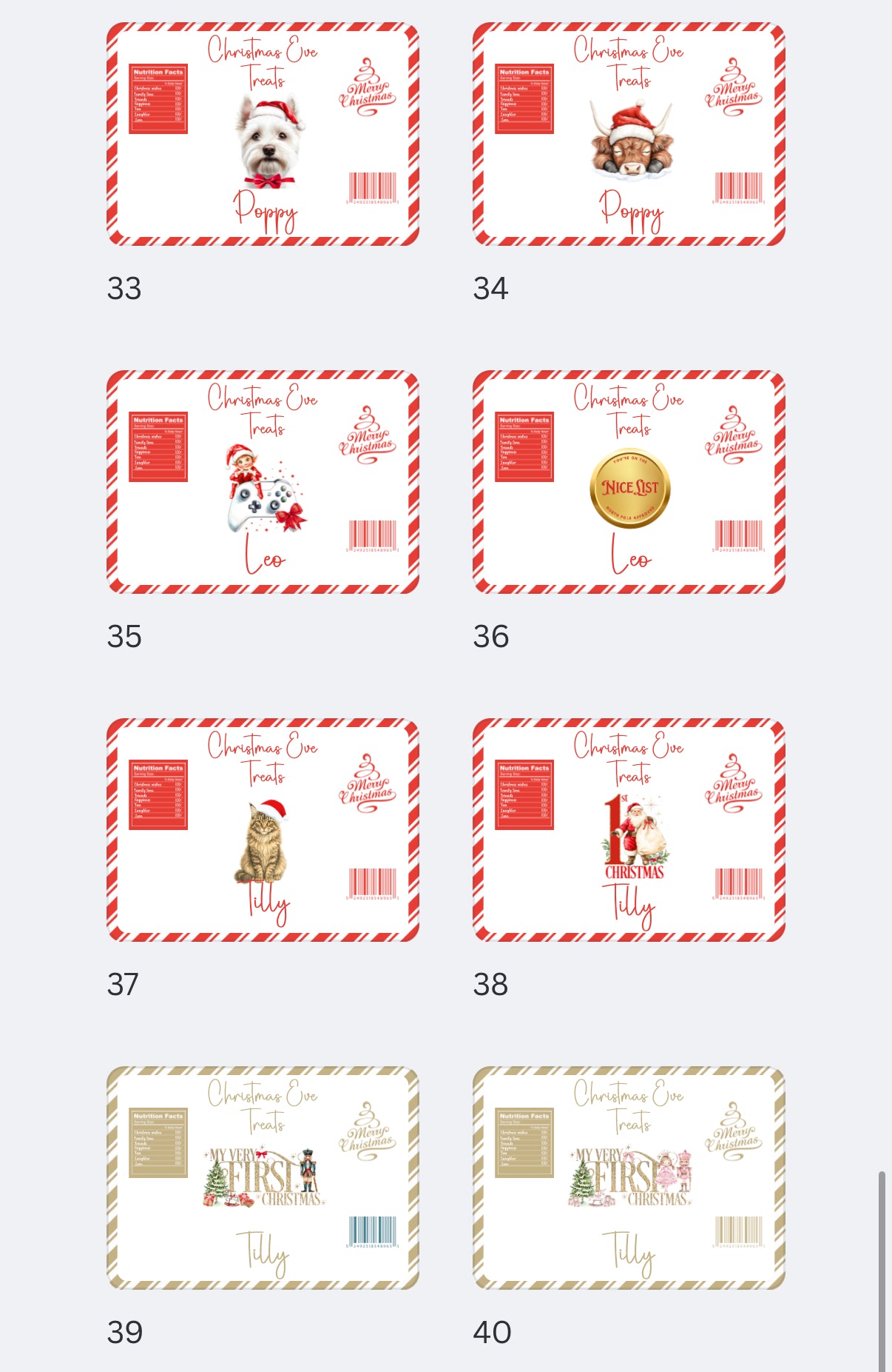 Unfilled Christmas treat packet