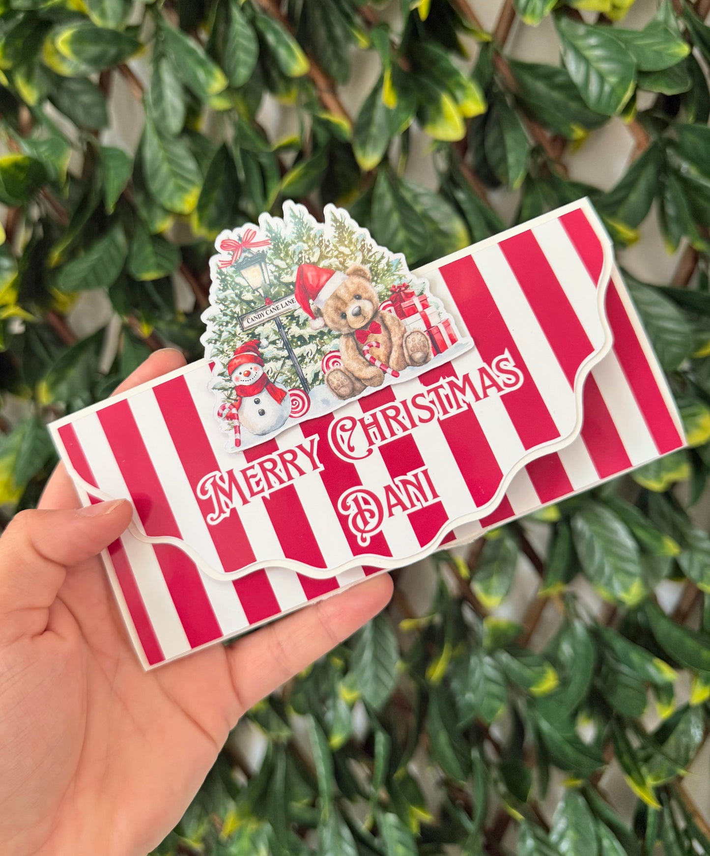 Cracker and/or money envelope