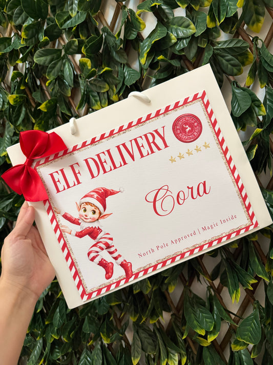 Elf delivery gift bag Christmas