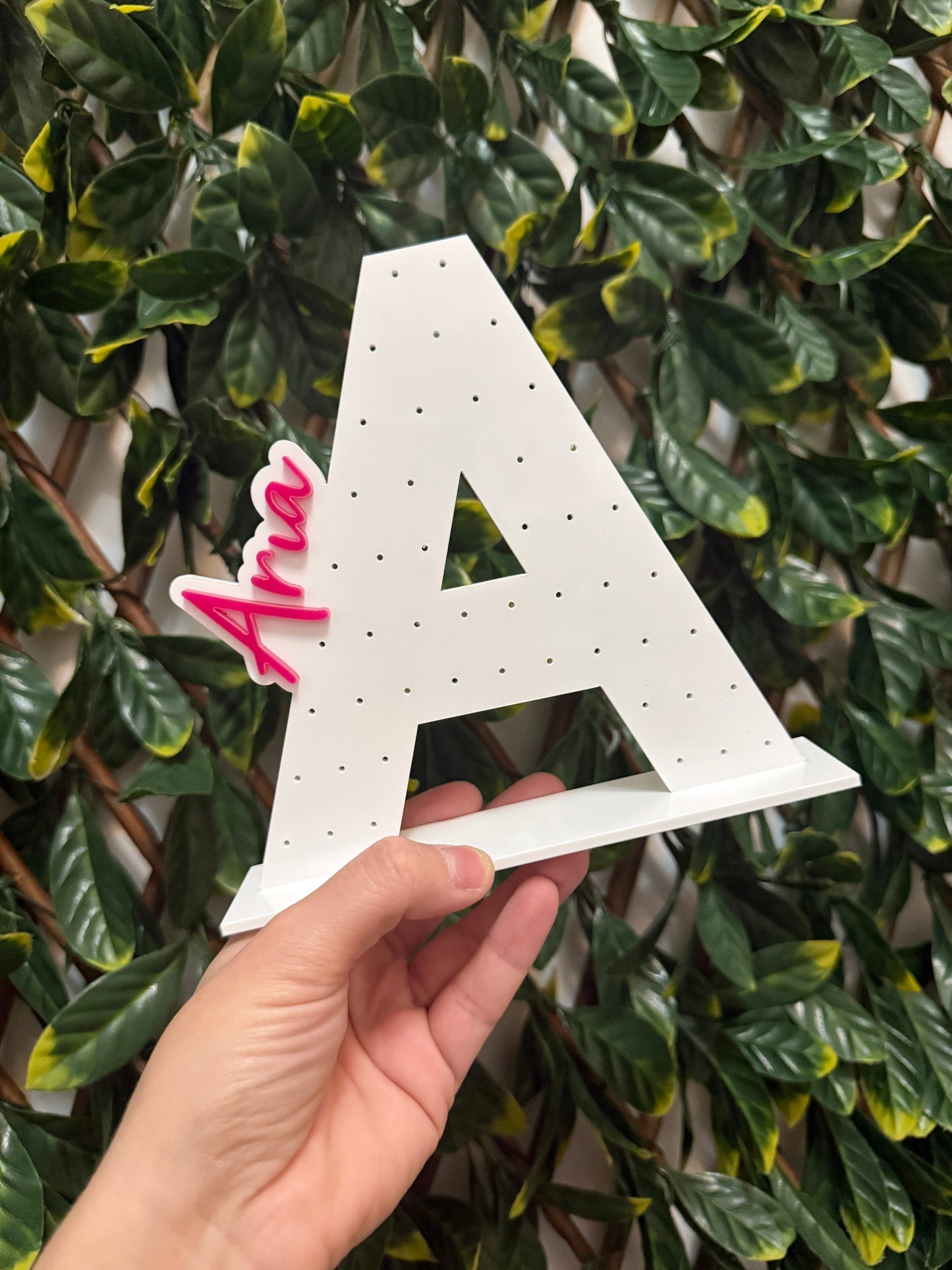 Acrylic earring holder