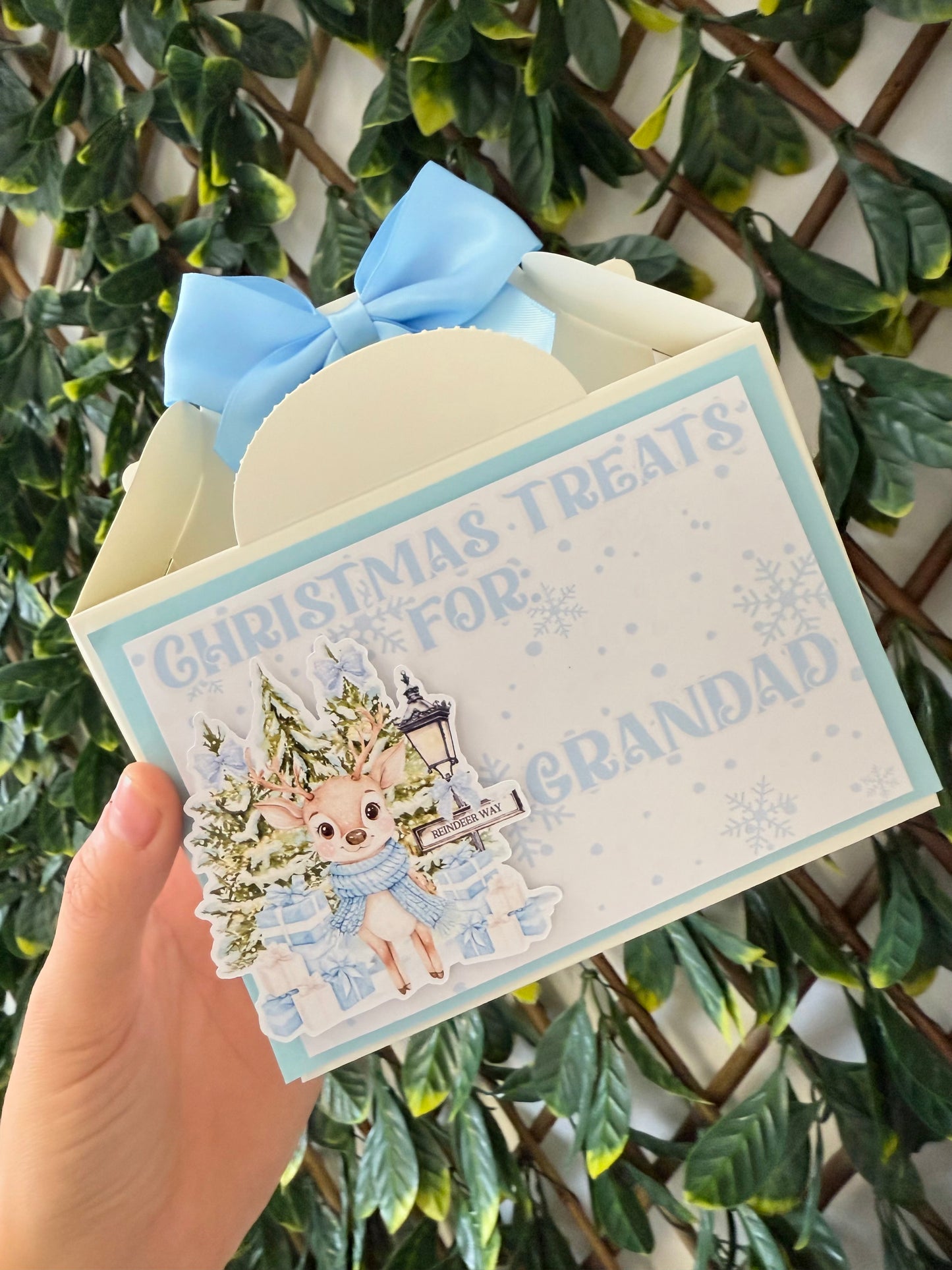 Christmas treat box - all designs