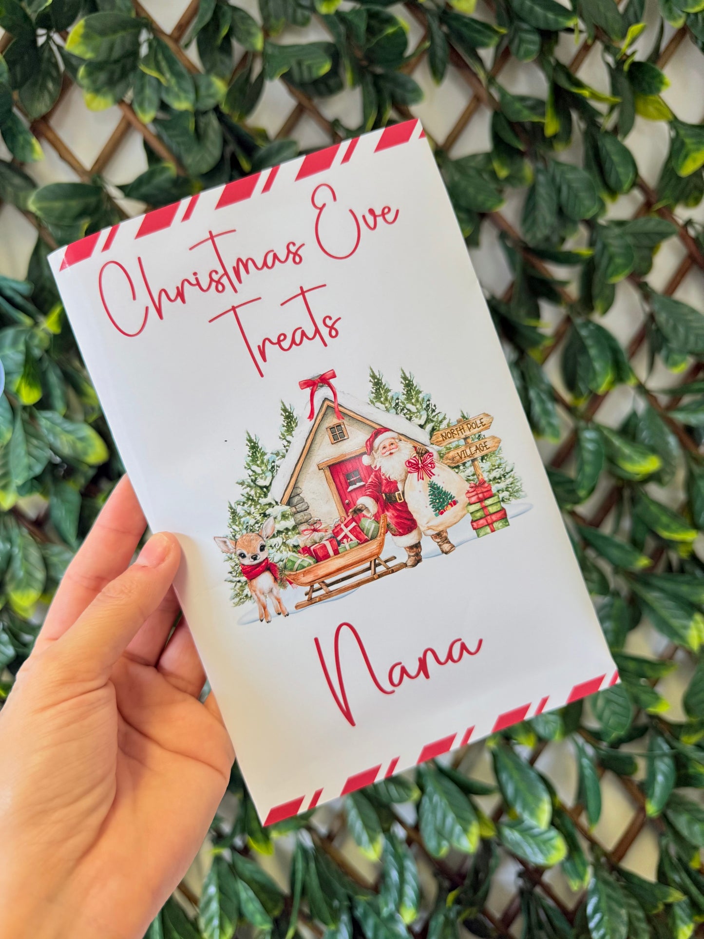 Unfilled Christmas treat packet