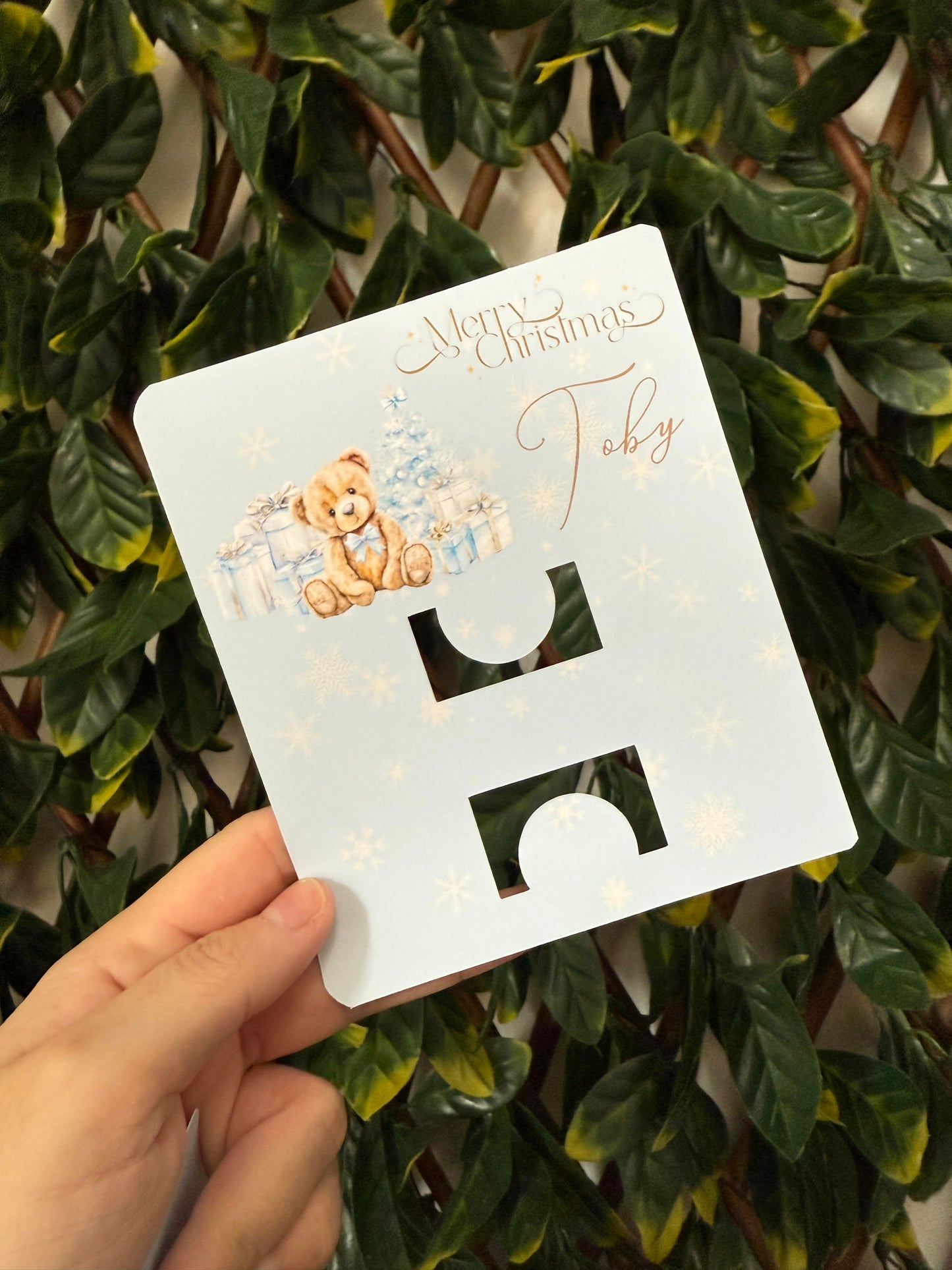 Scratch card/gift card holder