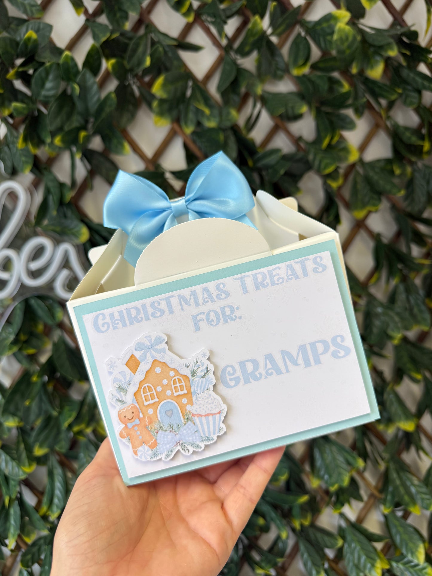 Christmas treat box - all designs