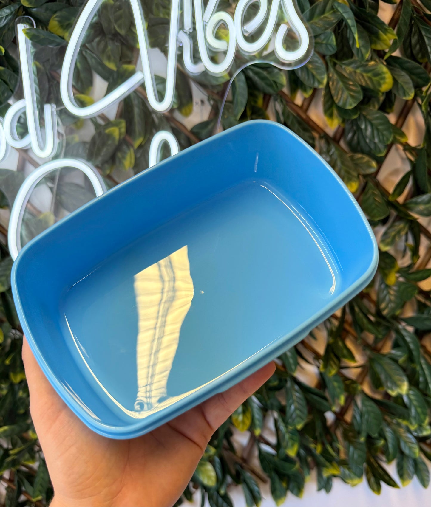 Lunch / snack boxes