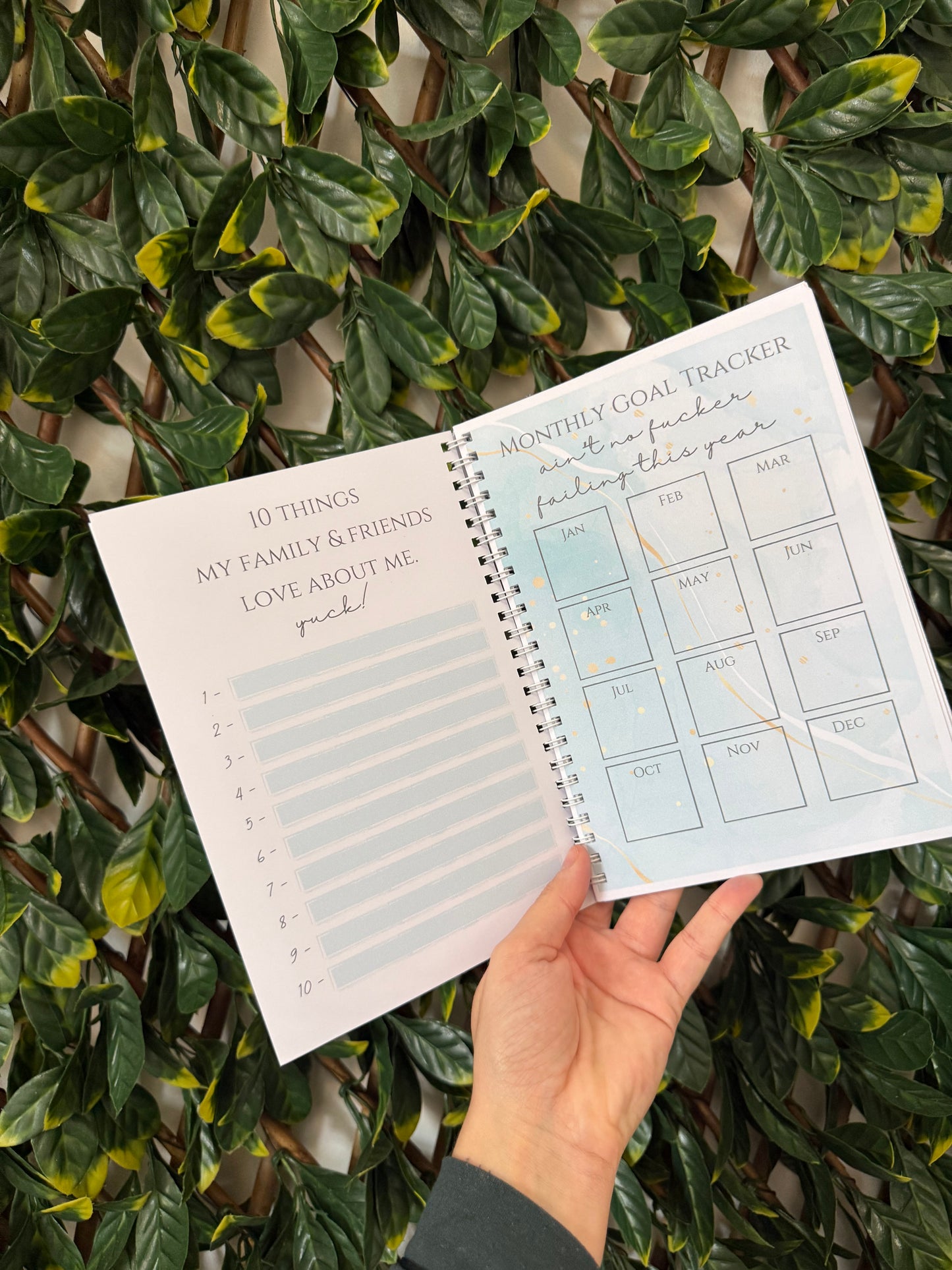 Pink sweary weight loss book