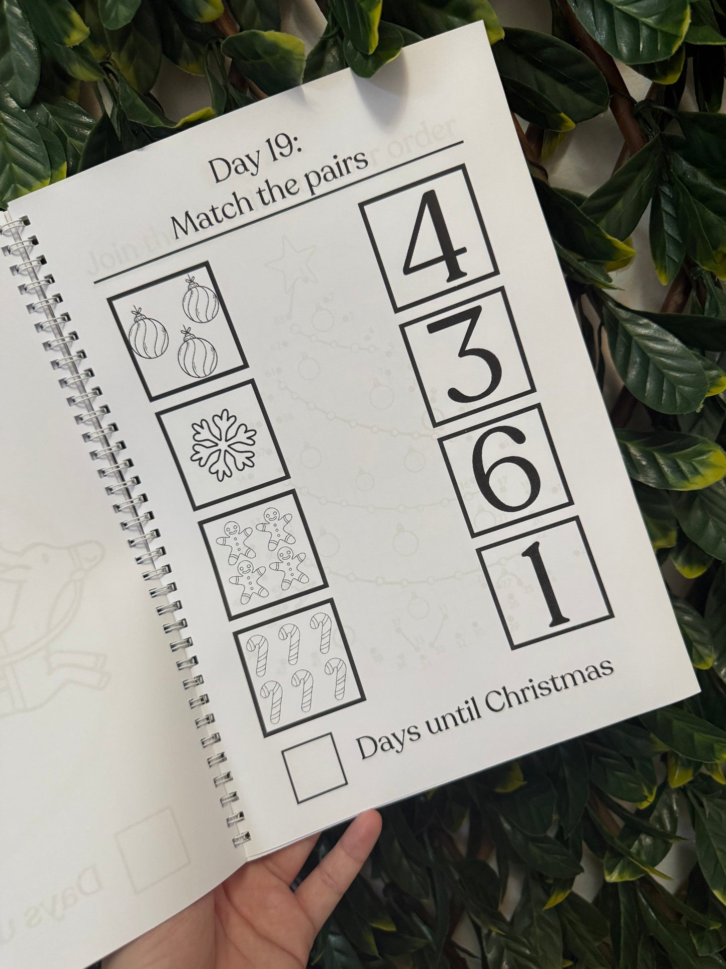 Pink or blue Christmas advent book