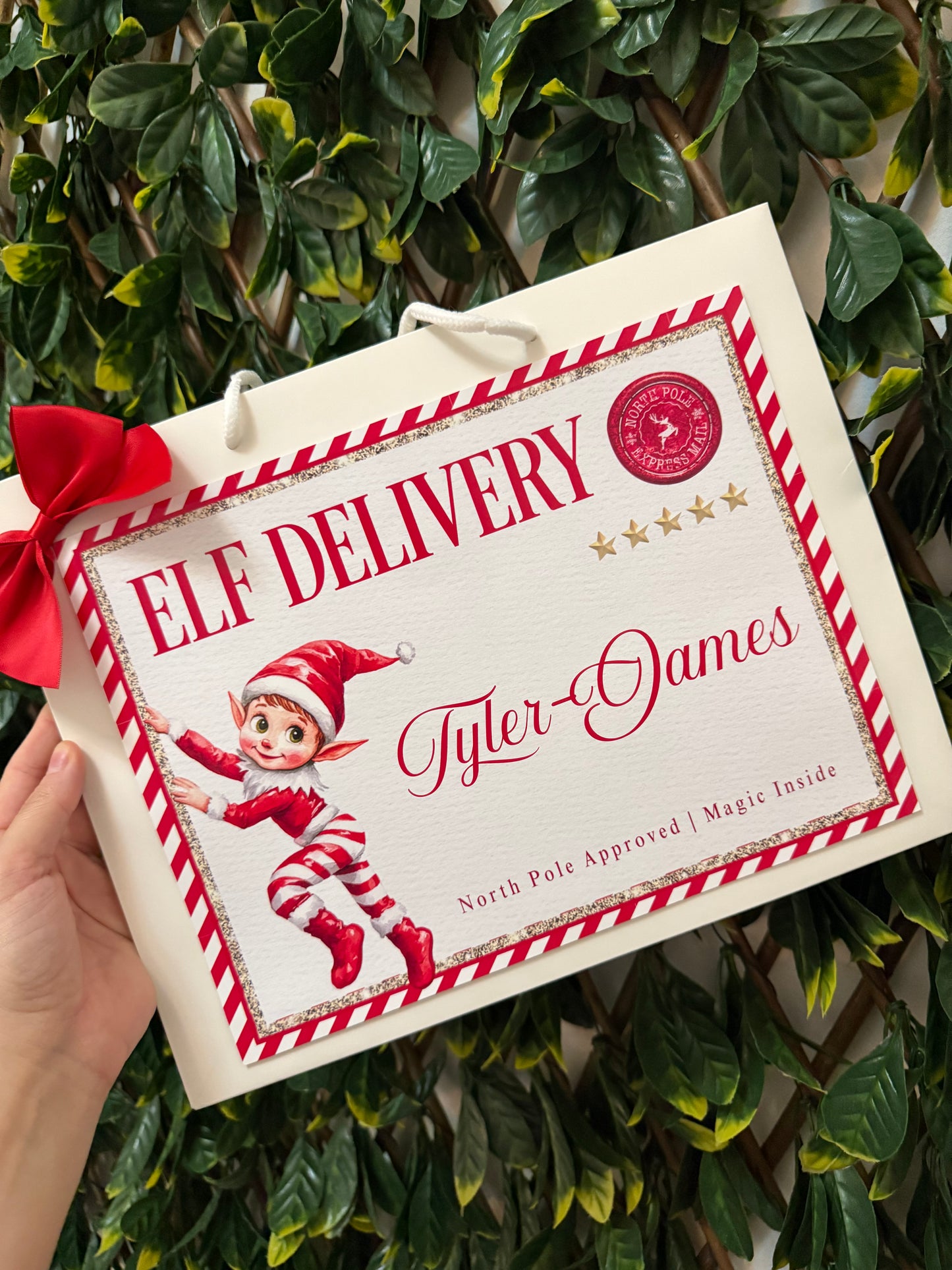 Elf delivery gift bag Christmas