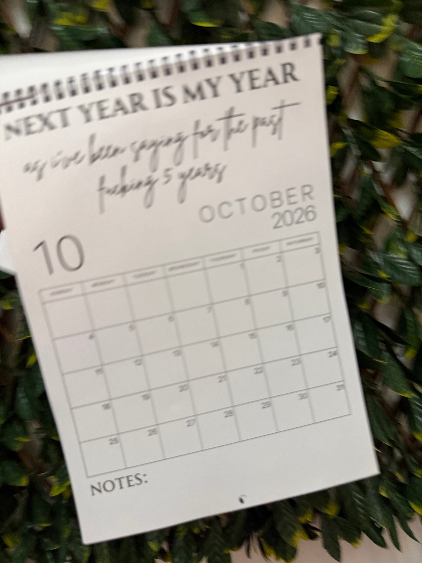 2026 Sweary adult humour calendar