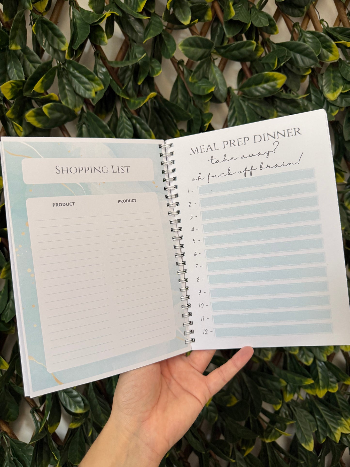 Sweary Weight Loss Book – Personalised Wire Bound Fitness & Diet Planner (Pink or Blue)