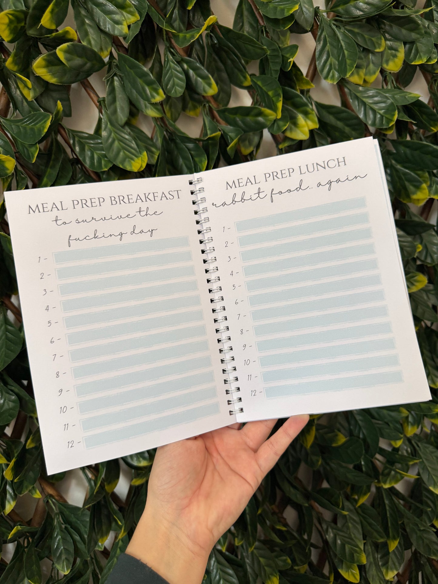 Pink sweary weight loss book