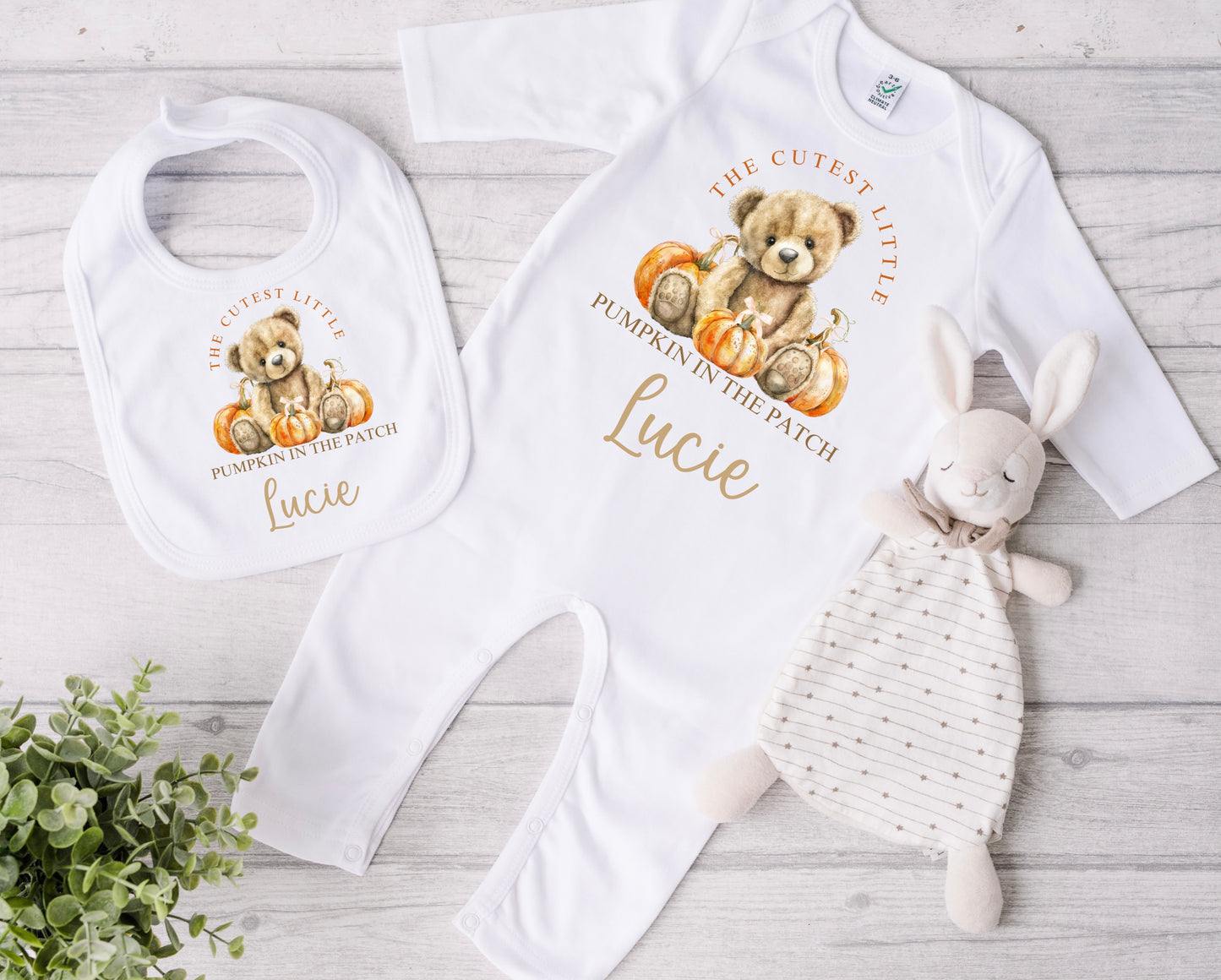 Bear pumpkin patch babygrow and bib set