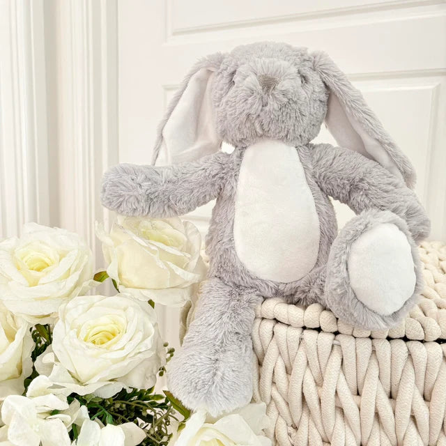 Baby photo bunny teddy