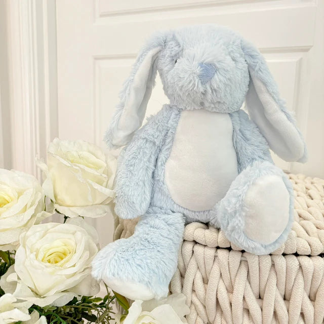 Baby photo bunny teddy