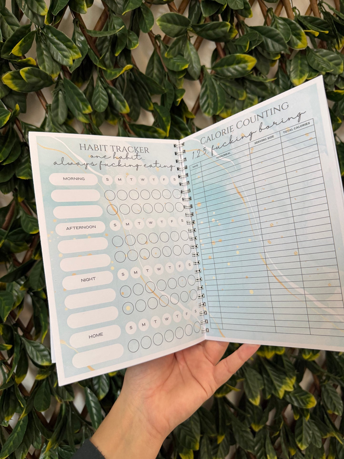 Pink sweary weight loss book