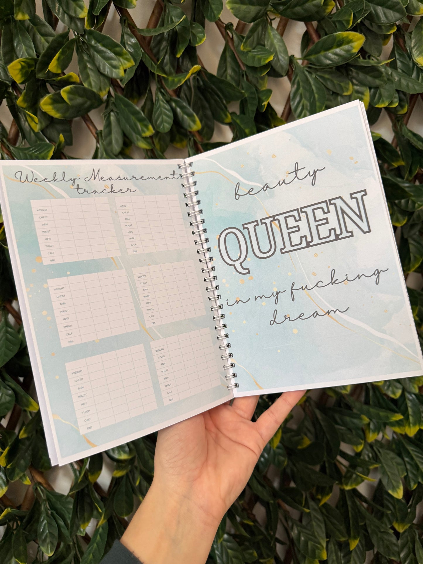 Blue sweary weight loss book