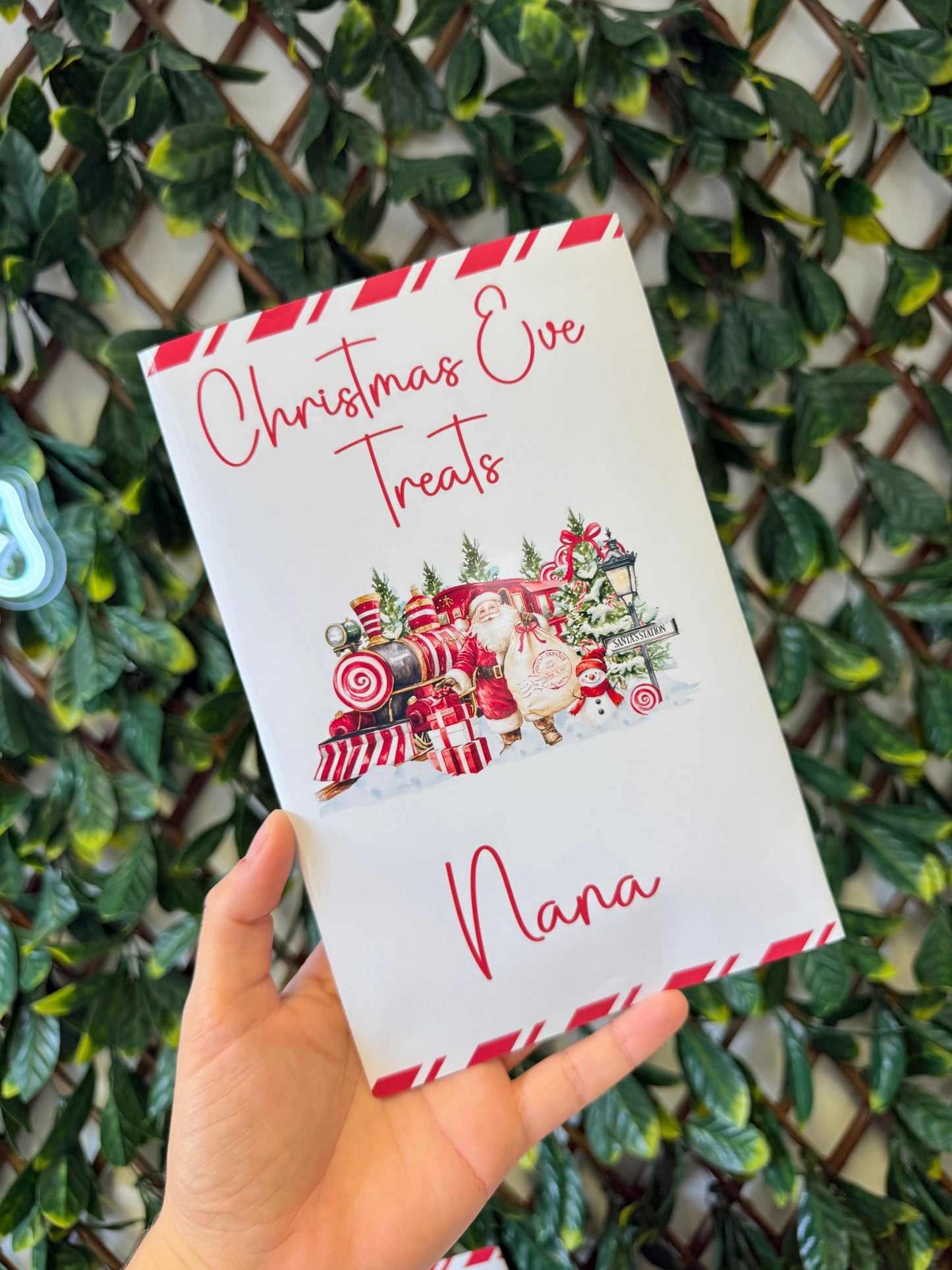 Unfilled Christmas treat packet