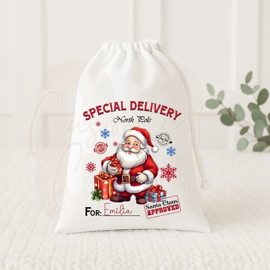 Christmas gift sack - special delivery santa