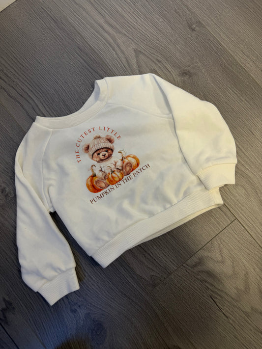 9-12m pumpkin patch jumper