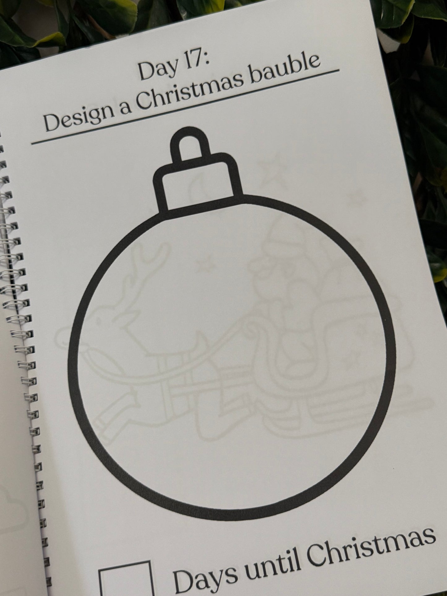 Pink or blue Christmas advent book