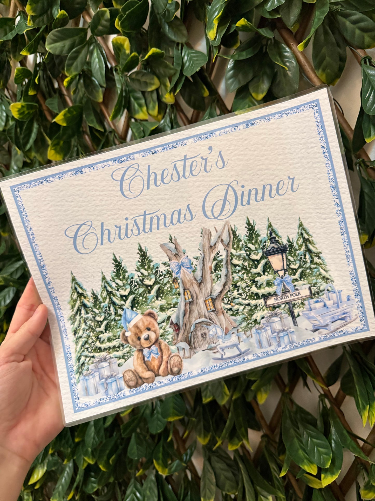 5 piece Christmas gift set