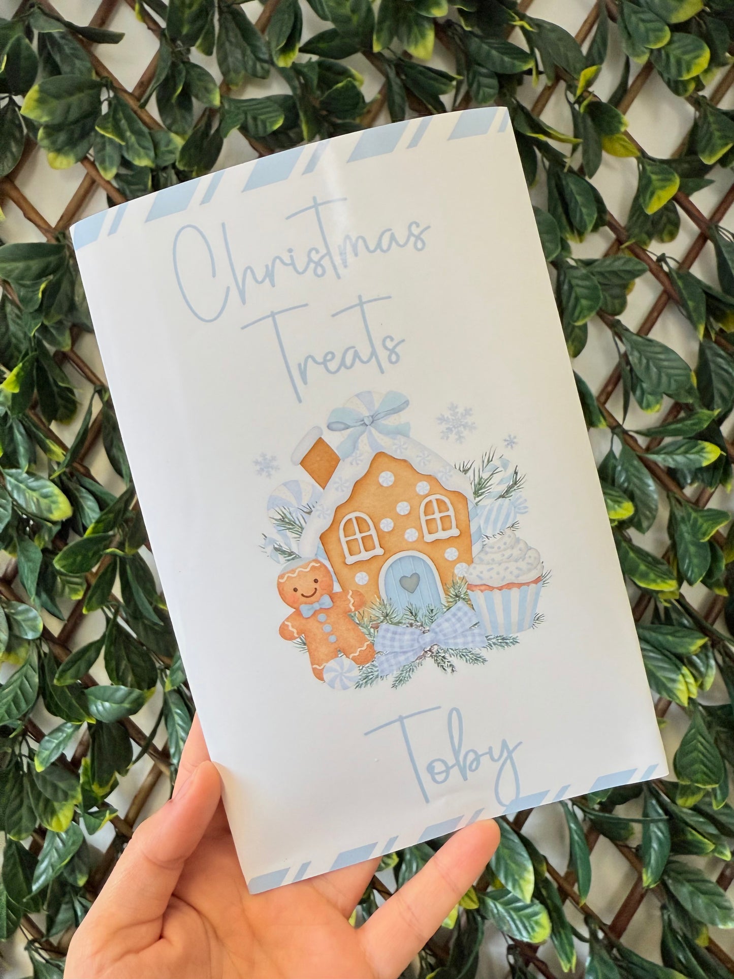 Unfilled Christmas treat packet