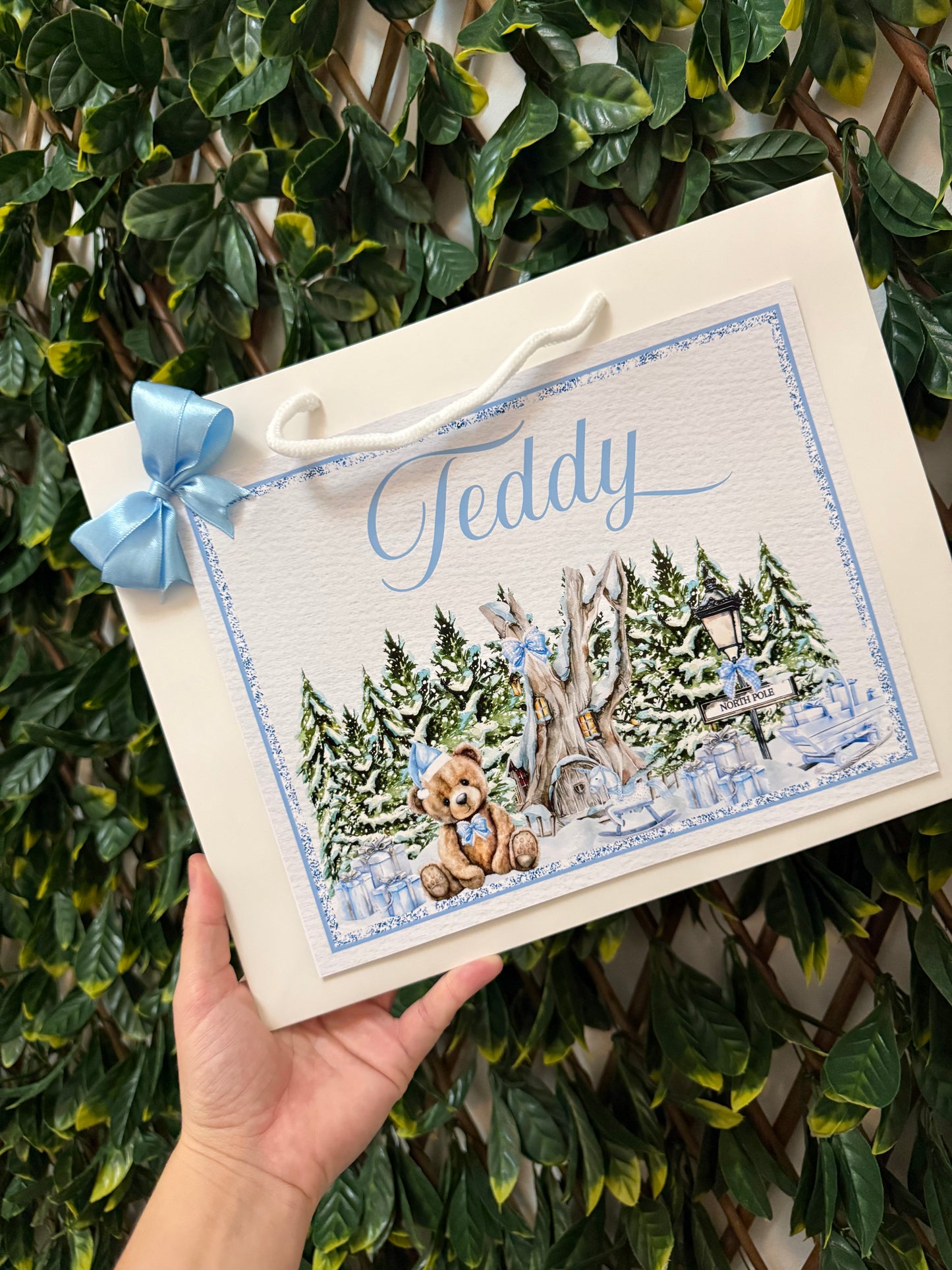 5 piece Christmas gift set