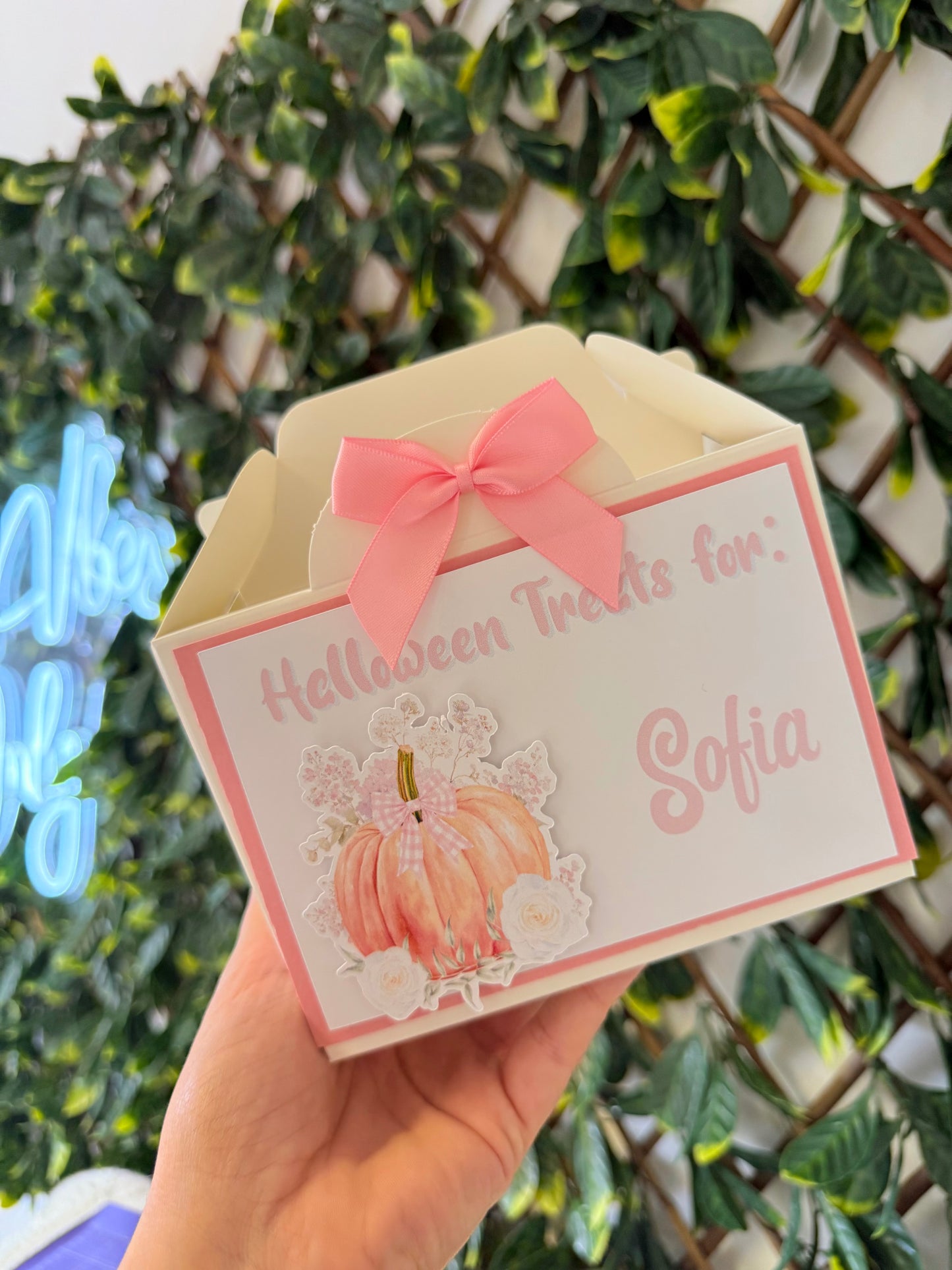 Halloween treat box - all designs