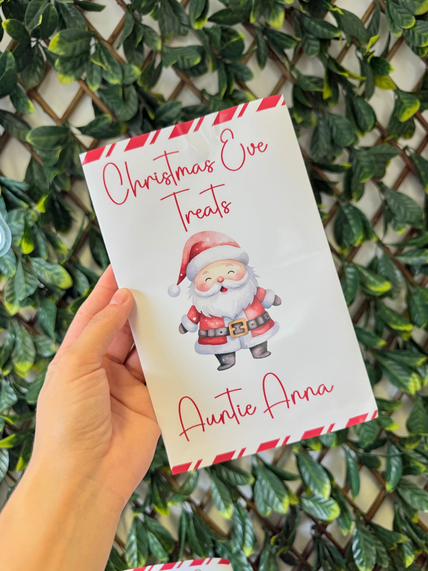 Unfilled Christmas treat packet