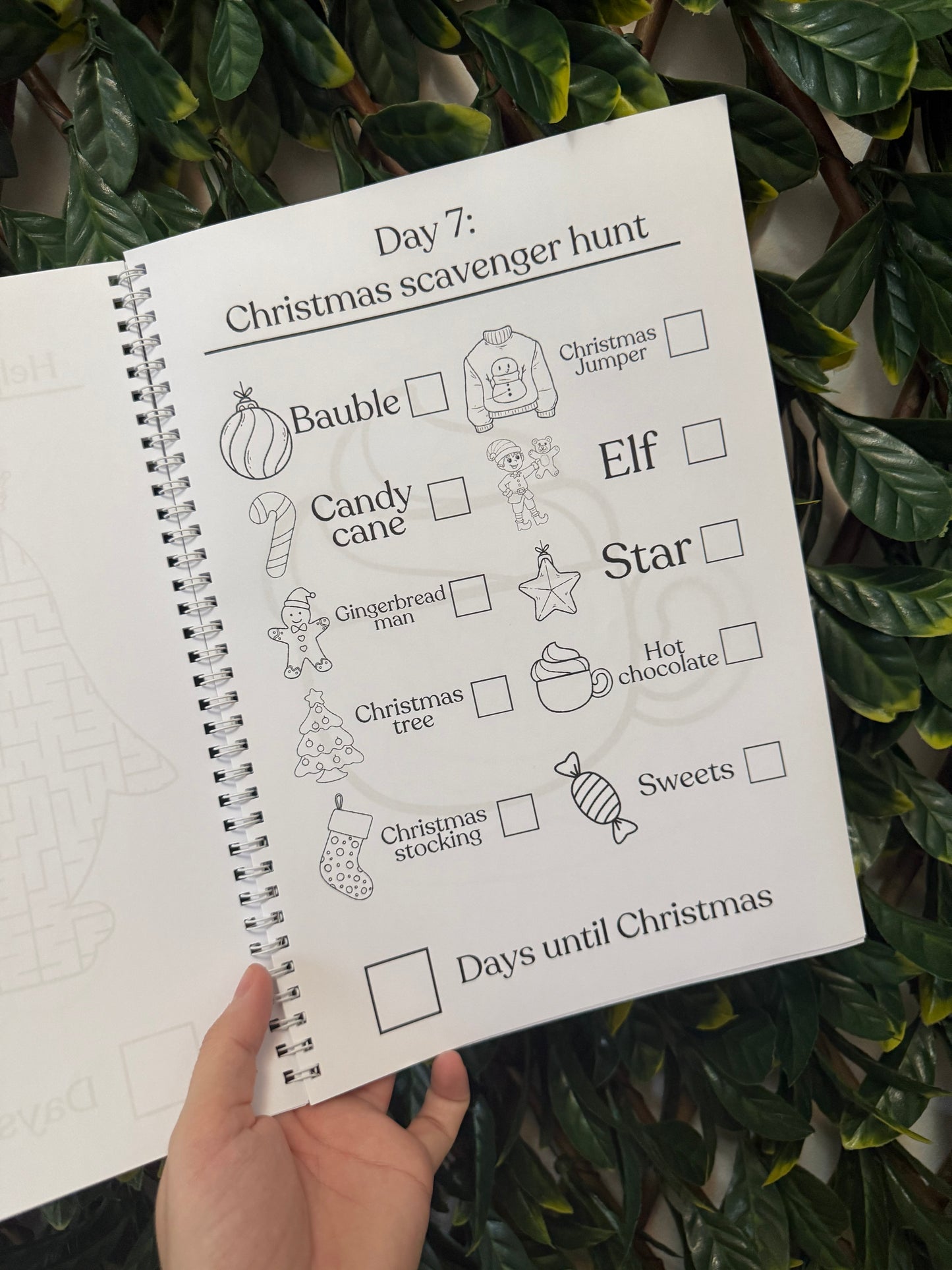 Pink or blue Christmas advent book