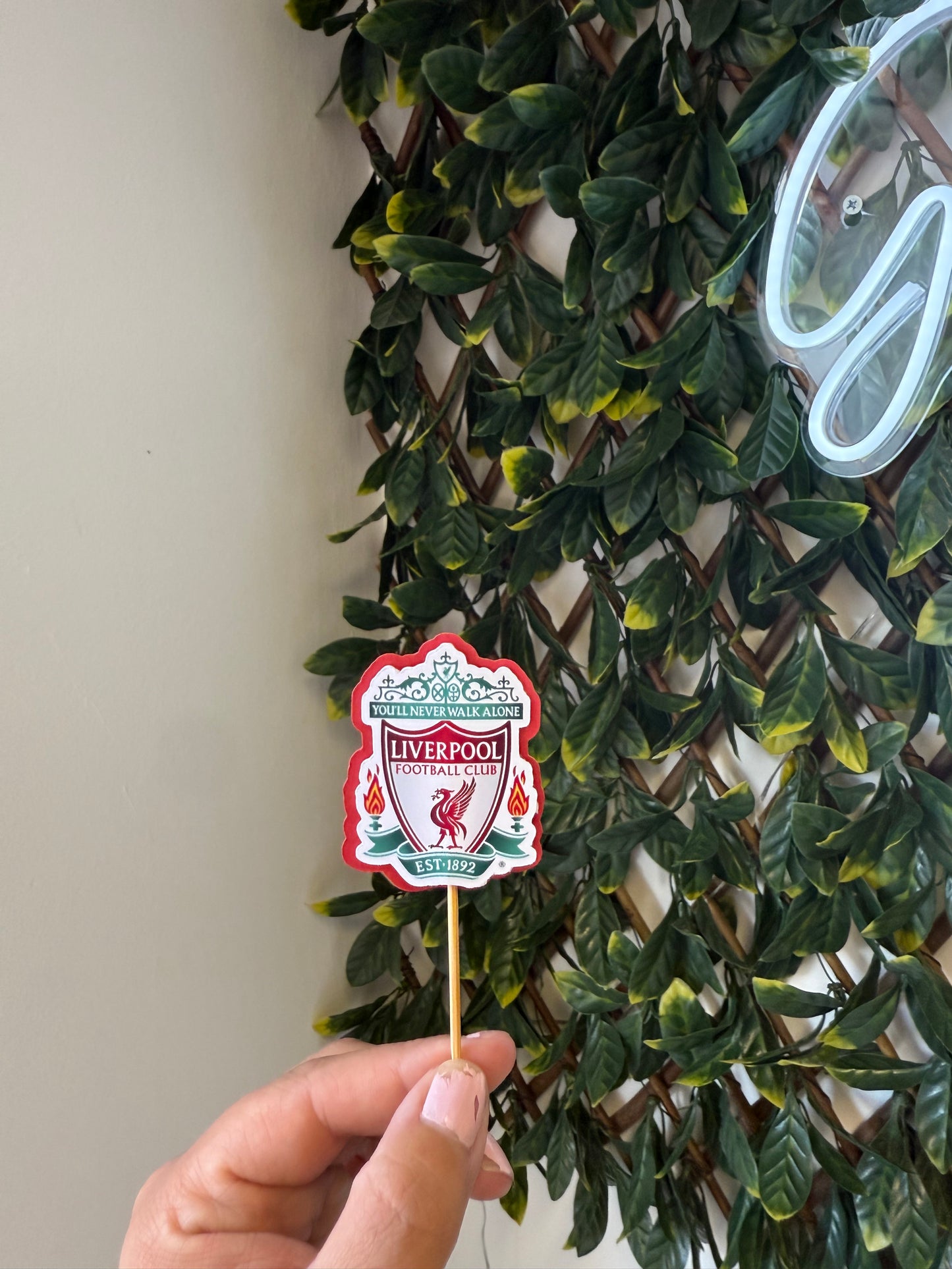 Birthday cupcake toppers