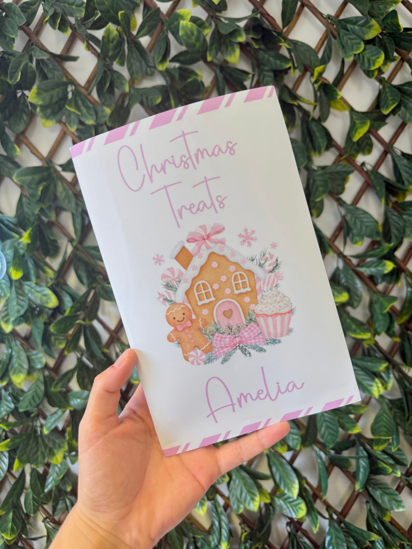 Unfilled Christmas treat packet