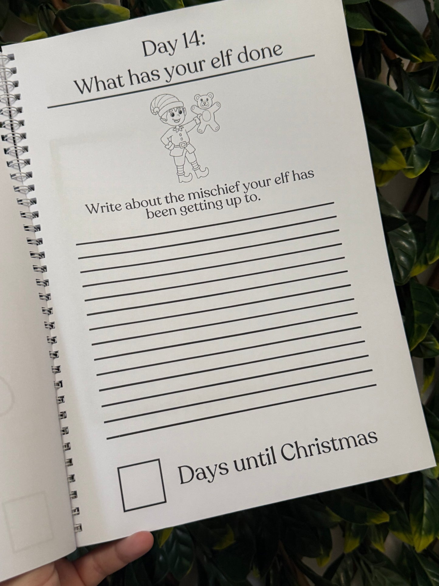 Pink or blue Christmas advent book