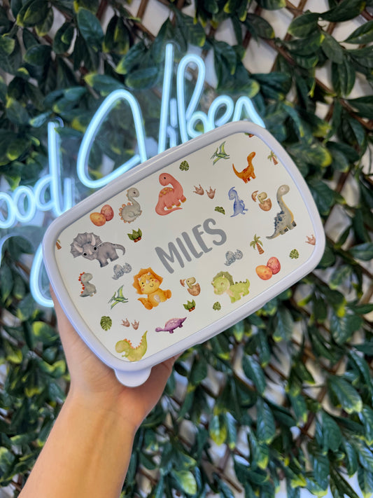 Lunch / snack boxes