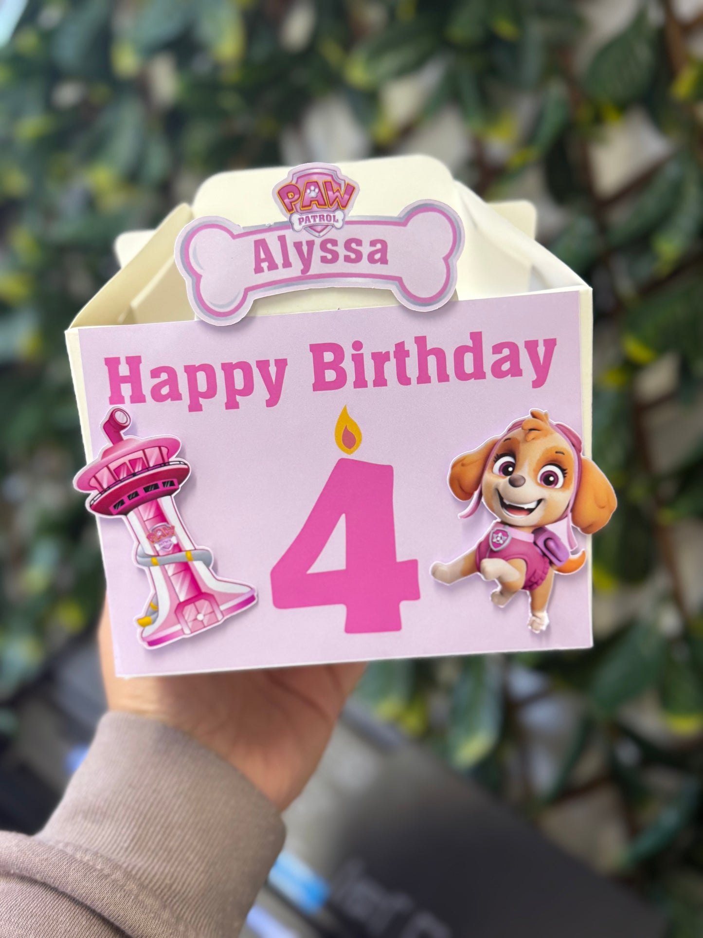 3D Birthday Treat Box