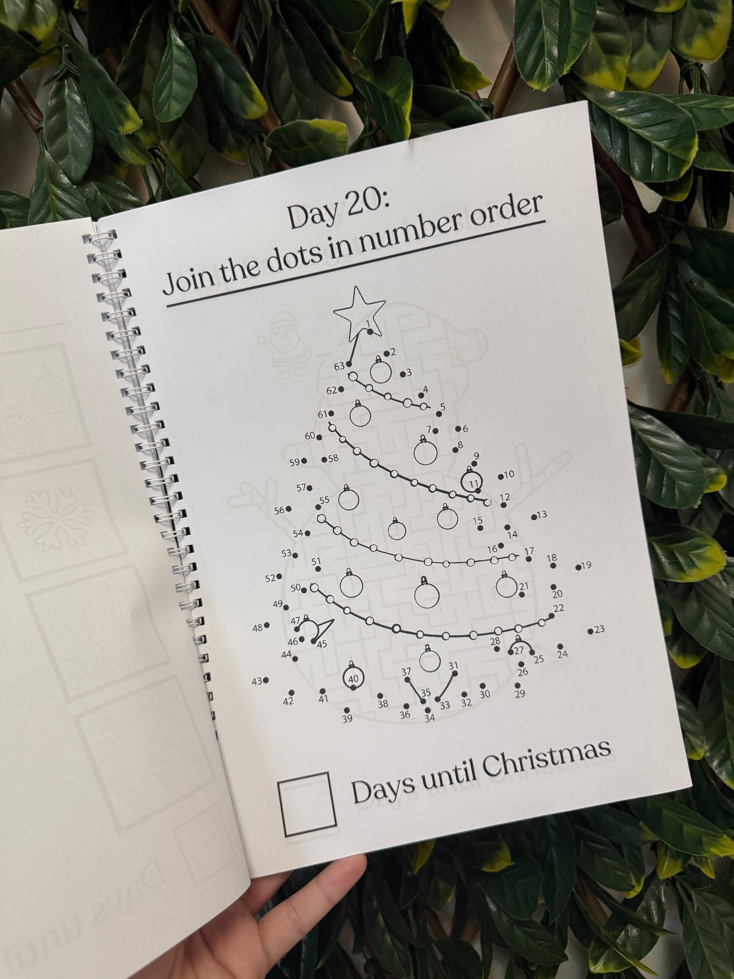 Pink or blue Christmas advent book