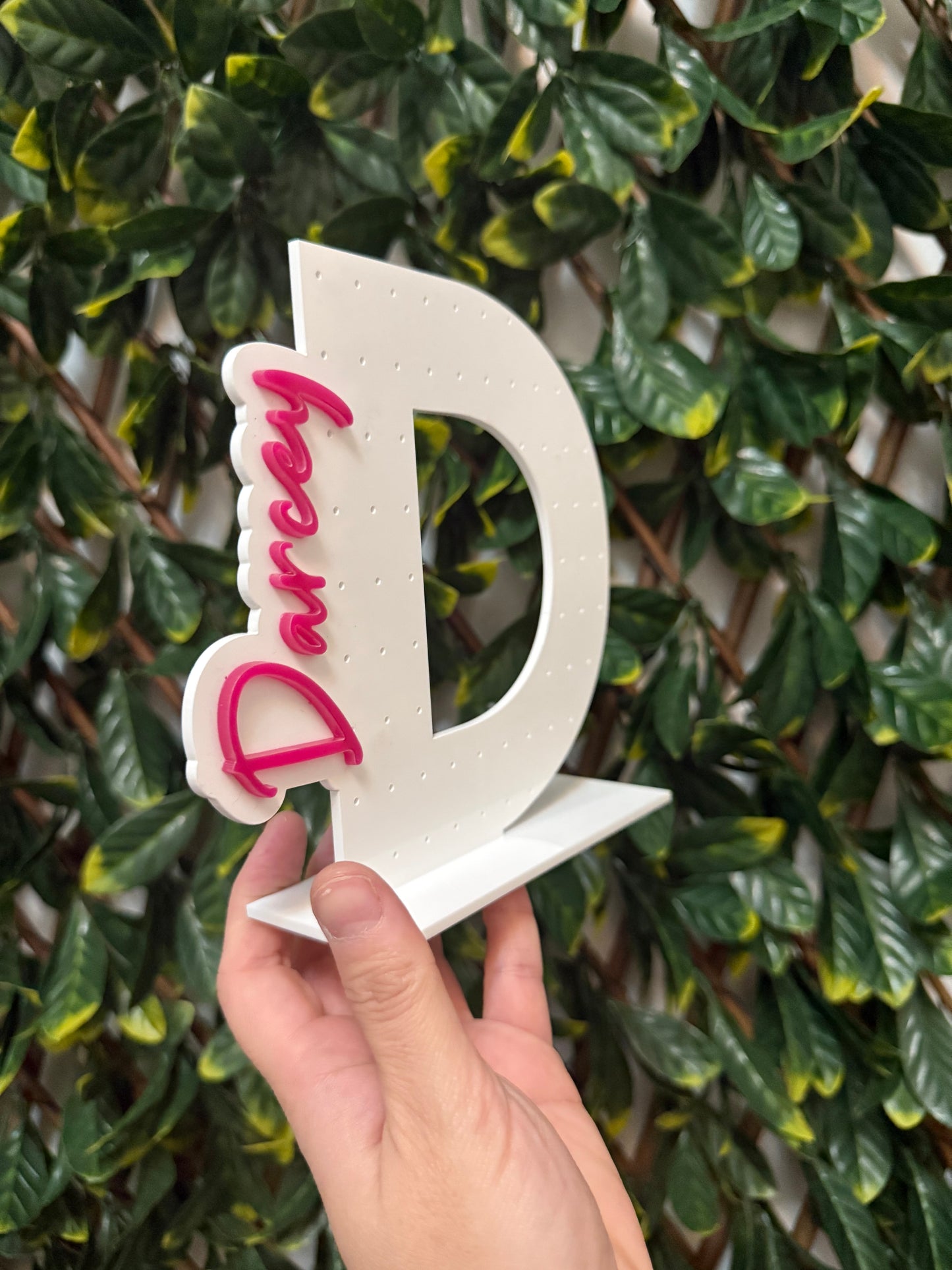 Acrylic earring holder