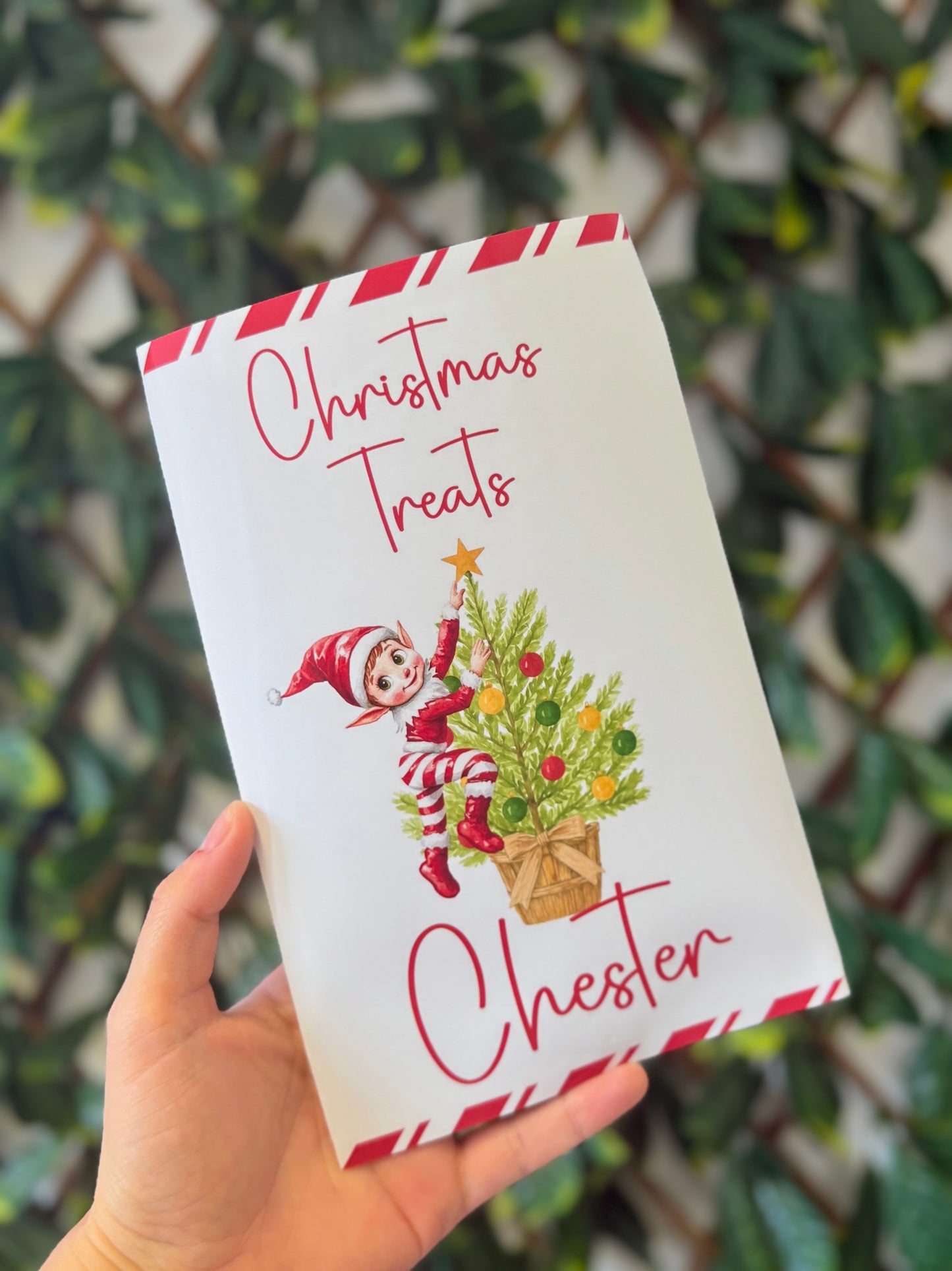 Unfilled Christmas treat packet